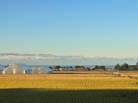 中新川郡立山町寺坪　売地